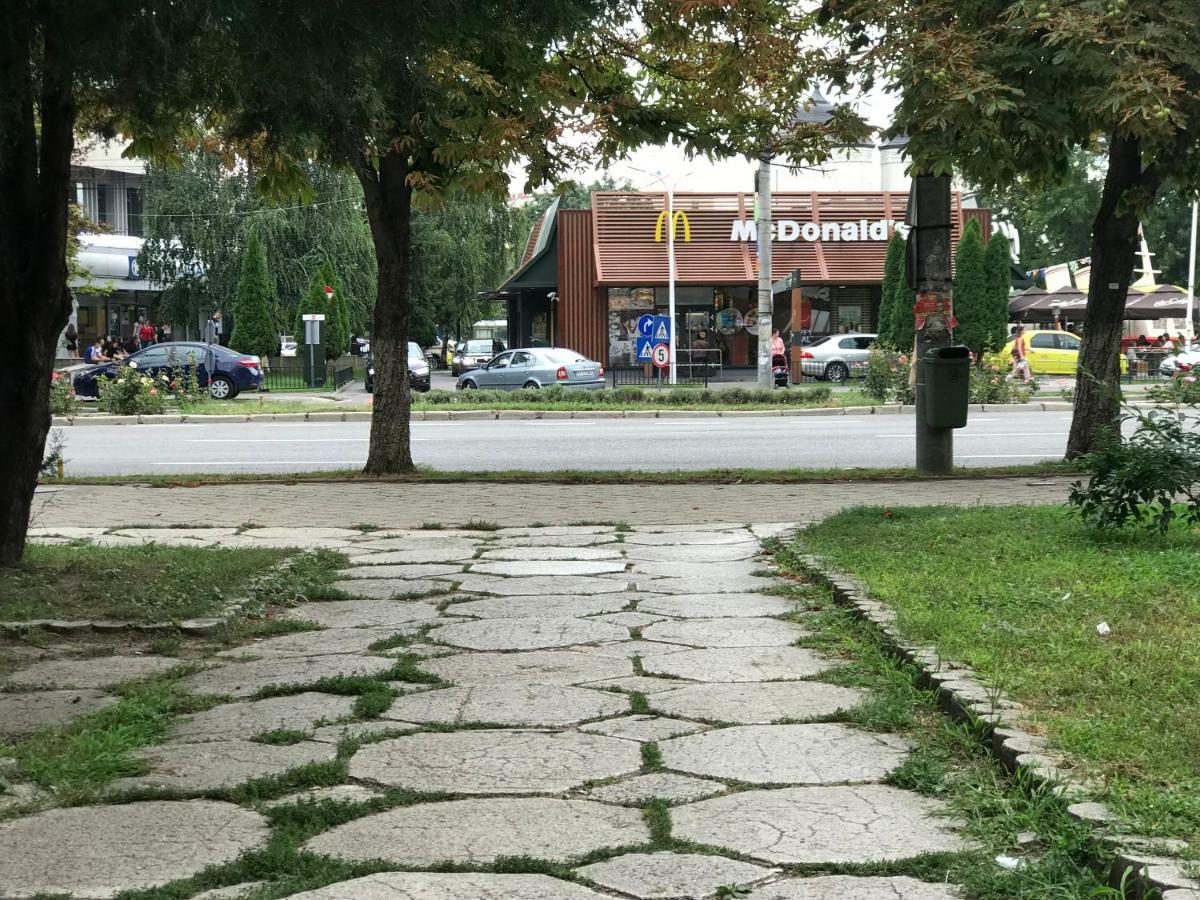 Luxury Radox Apartment Buzau City Center Екстер'єр фото